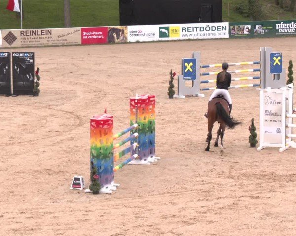 Internationales Springturnier Stadl-Paura 2025