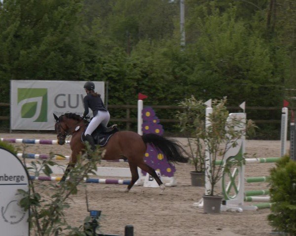 Reitturnier Nienberge 2025