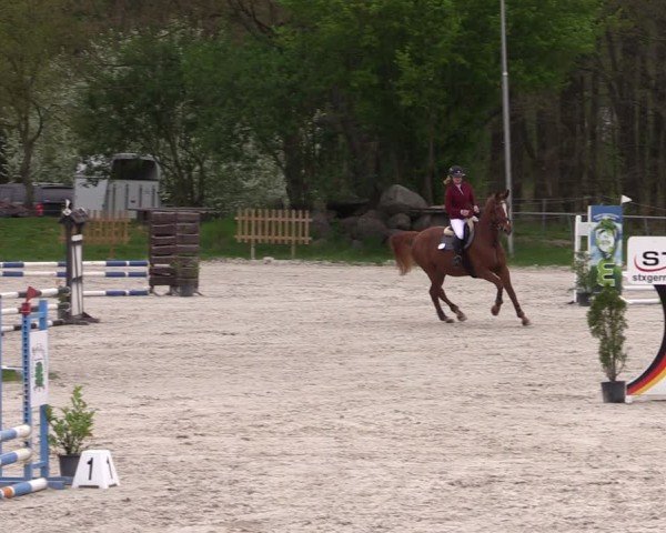 Reitturnier Pietzpuhl 2025