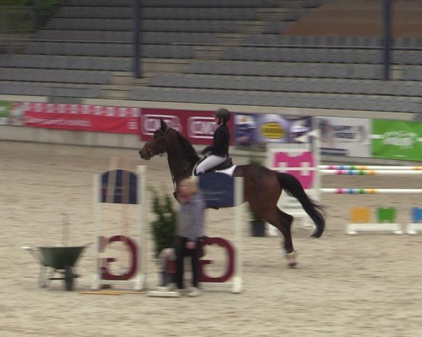 Reitturnier Aachen 2025