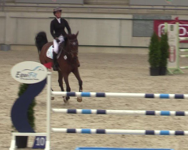 Reitturnier Aachen 2025