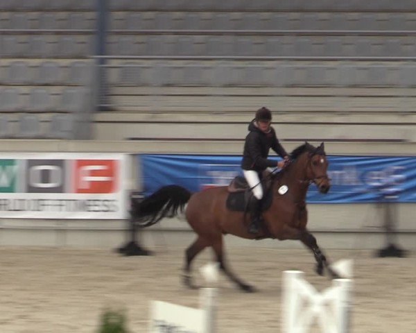 Reitturnier Aachen 2025