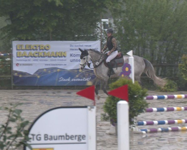 Reitturnier Nienberge 2025