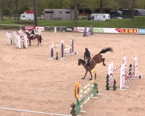 Internationales Springturnier Stadl-Paura 2025