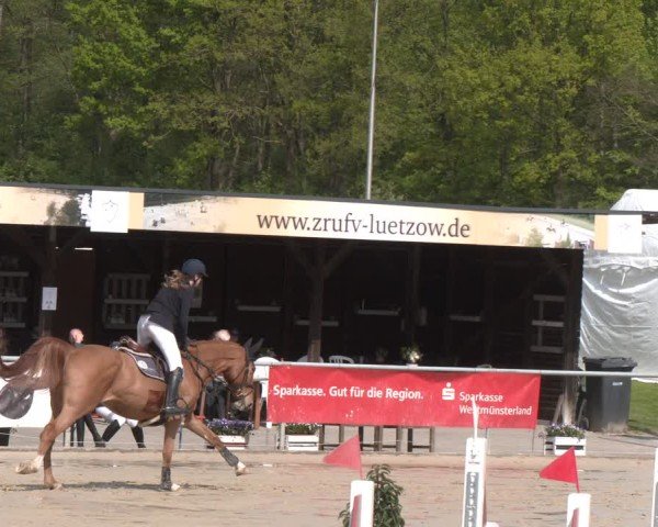 Reitturnier Olfen 2025