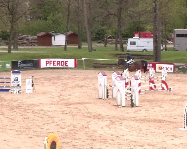 Internationales Springturnier Stadl-Paura 2025