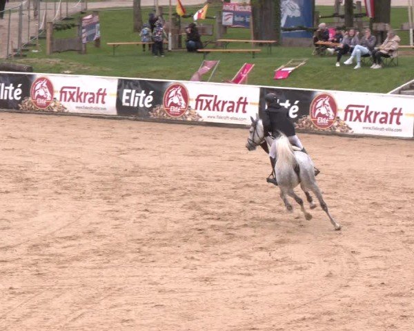 Internationales Springturnier Stadl-Paura 2025