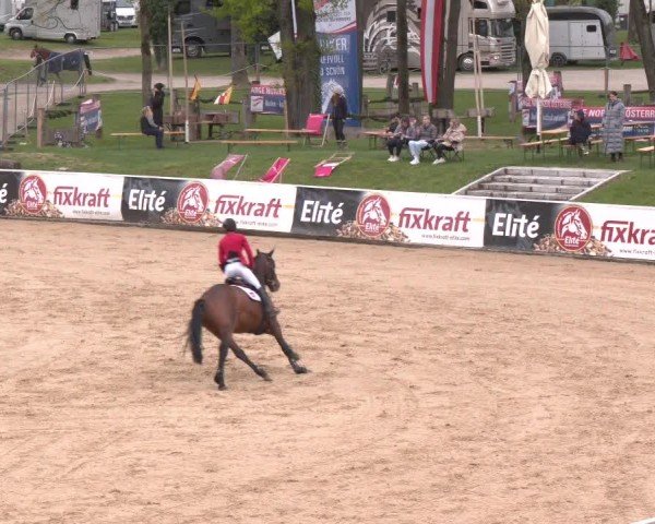 Internationales Springturnier Stadl-Paura 2025