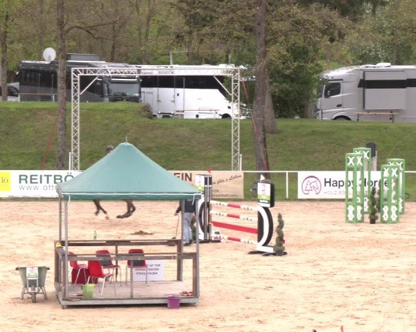 Internationales Springturnier Stadl-Paura 2025