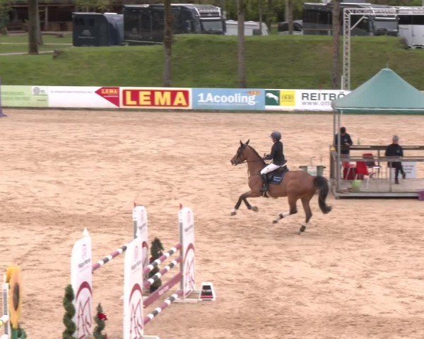 Internationales Springturnier Stadl-Paura 2025