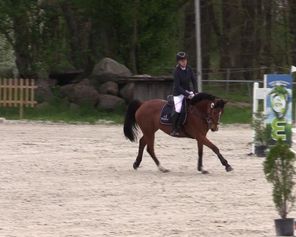 Reitturnier Pietzpuhl 2025