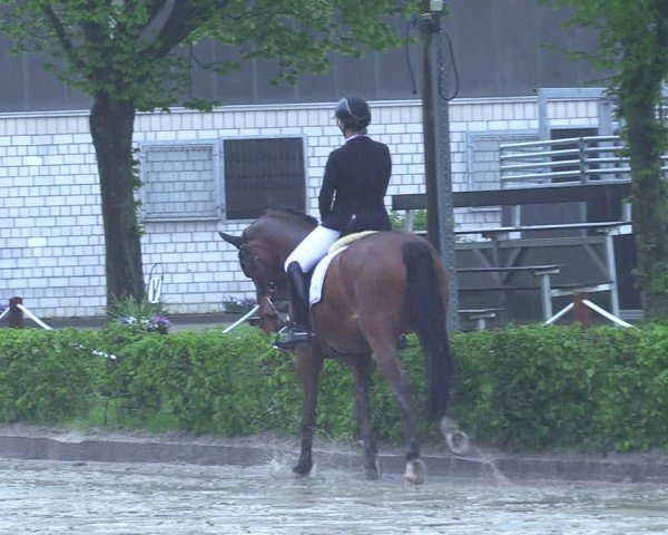Reitturnier Olfen 2025