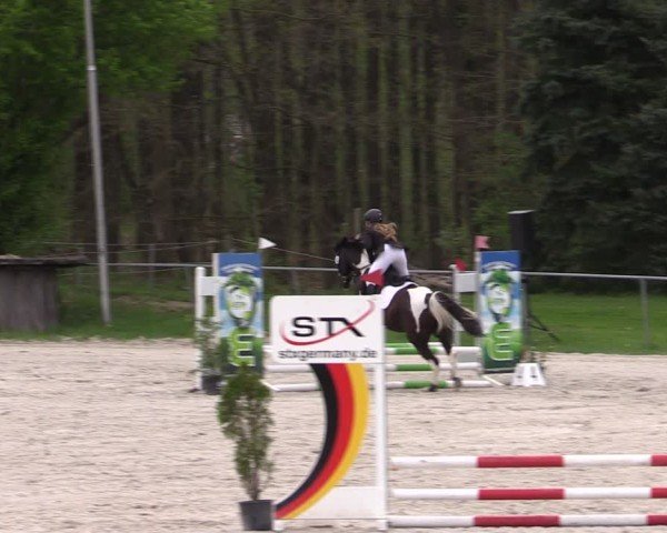 Reitturnier Pietzpuhl 2025