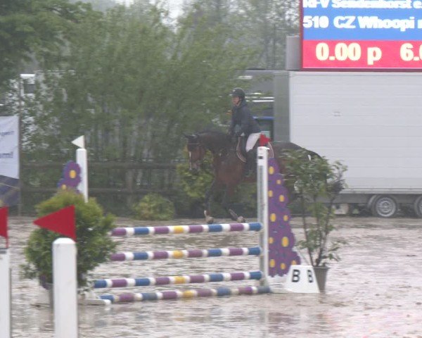 Reitturnier Nienberge 2025