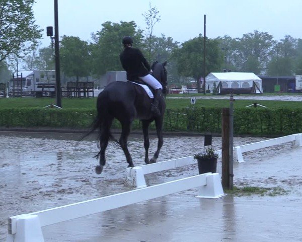 Reitturnier Olfen 2025