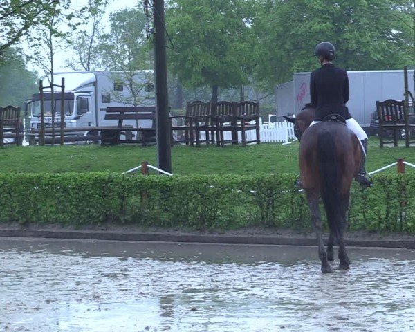 Reitturnier Olfen 2025