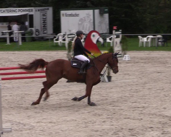 Reitturnier Pietzpuhl 2025