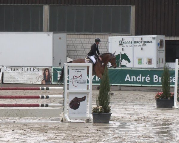 Reitturnier Olfen 2025