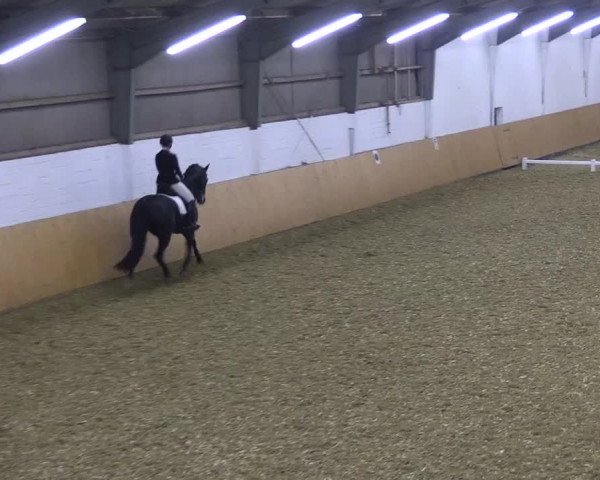 Reitturnier Datteln 2021