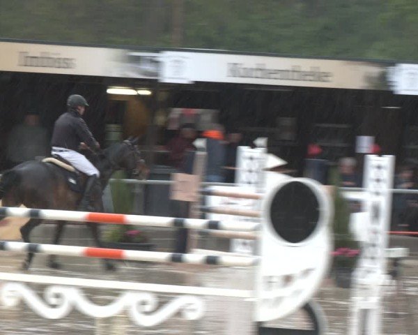 Reitturnier Olfen 2025