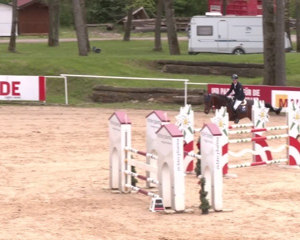 Internationales Springturnier Stadl-Paura 2025