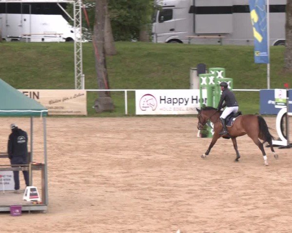 Internationales Springturnier Stadl-Paura 2025