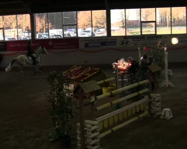 Hallenspringturnier Münster - Albachten 2014
