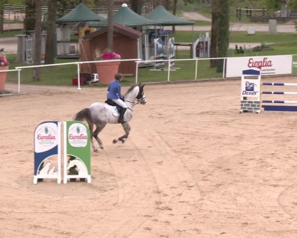 Internationales Springturnier Stadl-Paura 2025