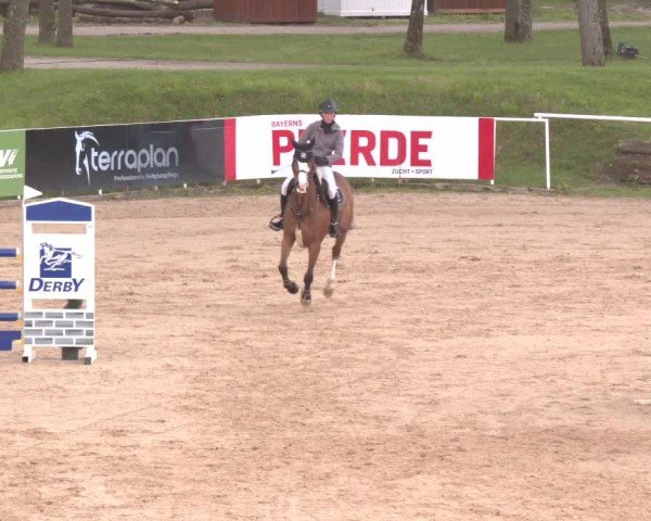 Internationales Springturnier Stadl-Paura 2025