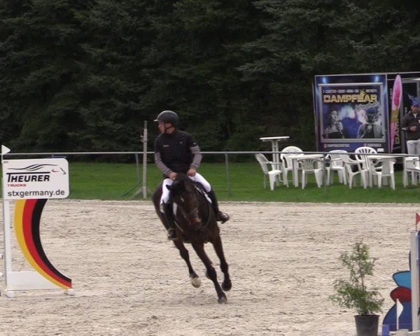 Reitturnier Pietzpuhl 2025