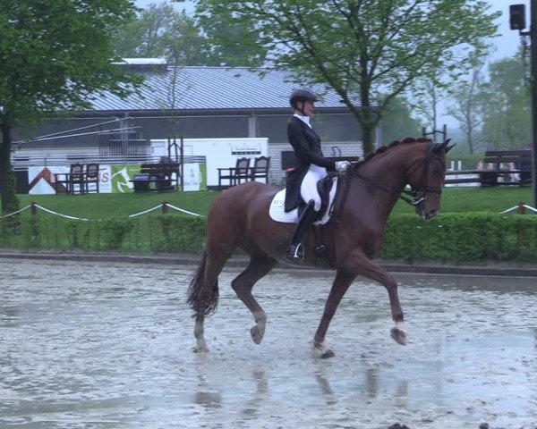 Reitturnier Olfen 2025