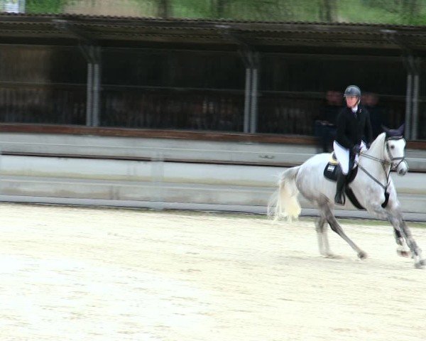 Reitturnier Ingolstadt-Hagau/Obb. 2025