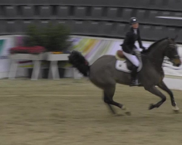 VER-Dinale 2014