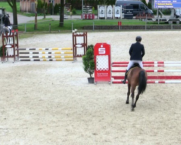 Reitturnier Ingolstadt-Hagau/Obb. 2025