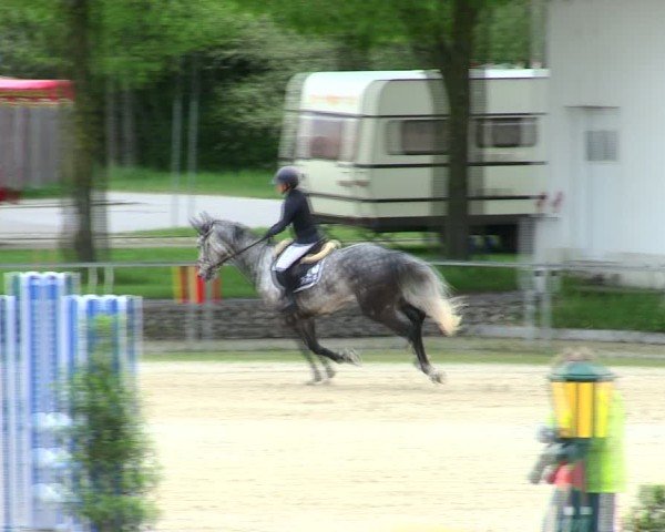 Reitturnier Ingolstadt-Hagau/Obb. 2025