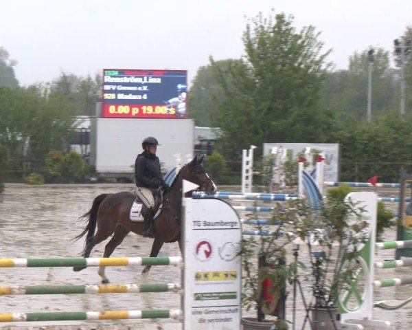 Reitturnier Nienberge 2025