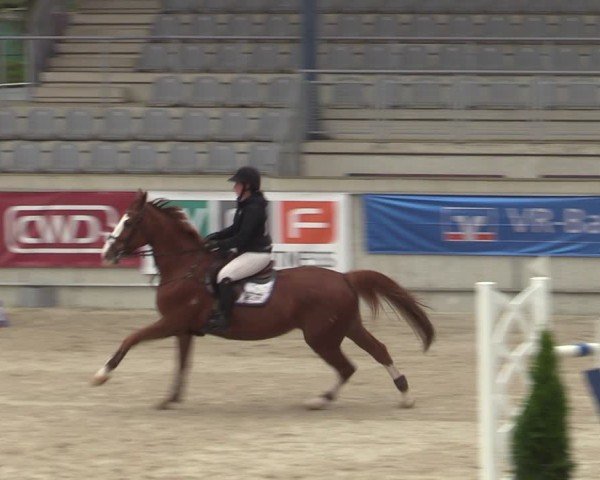 Reitturnier Aachen 2025