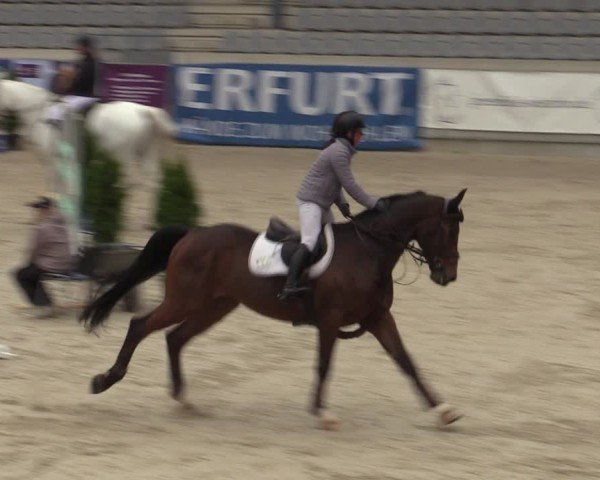 Reitturnier Aachen 2025