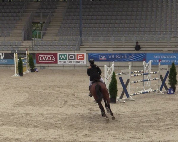 Reitturnier Aachen 2025