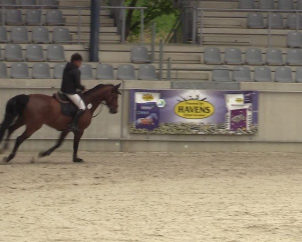 Reitturnier Aachen 2025
