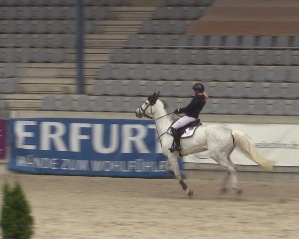 Reitturnier Aachen 2025