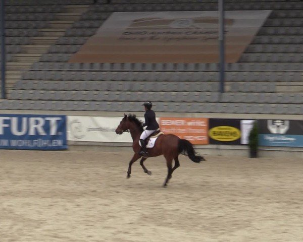Reitturnier Aachen 2025