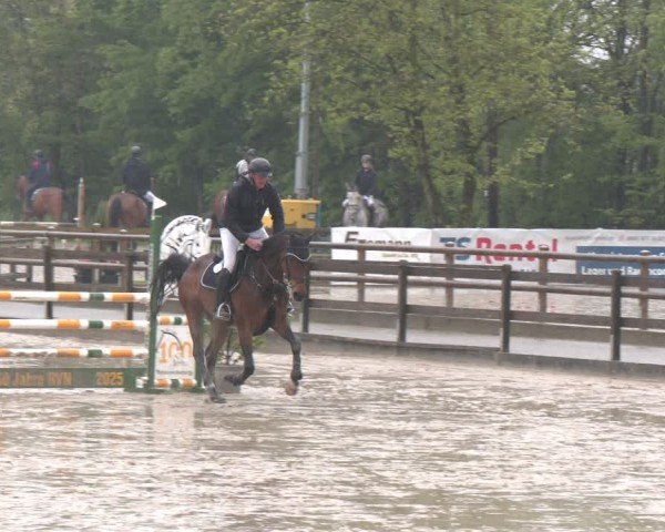 Reitturnier Nienberge 2025
