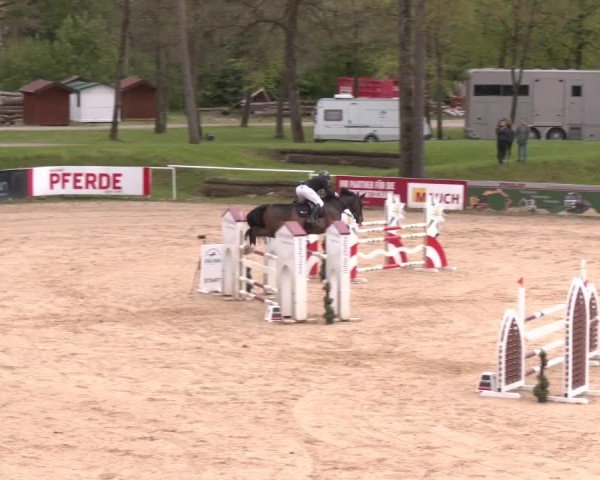 Internationales Springturnier Stadl-Paura 2025