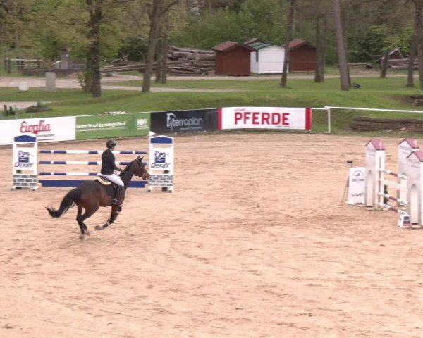 Internationales Springturnier Stadl-Paura 2025
