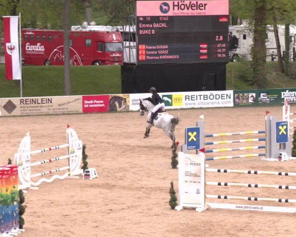 Internationales Springturnier Stadl-Paura 2025