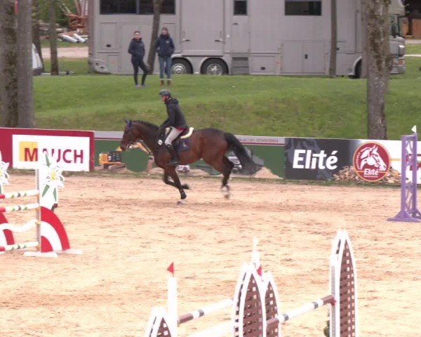 Internationales Springturnier Stadl-Paura 2025