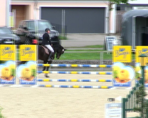 Reitturnier Ingolstadt-Hagau/Obb. 2025