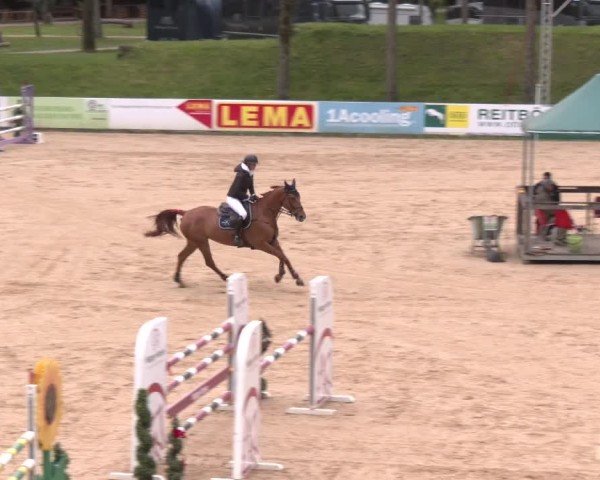 Internationales Springturnier Stadl-Paura 2025