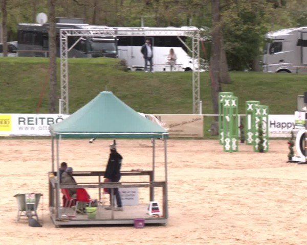 Internationales Springturnier Stadl-Paura 2025